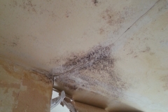 Bedroom ceiling damp stains 2